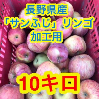 長野県産「サンふじ」リンゴ　加工用10キロ(フルーツ)