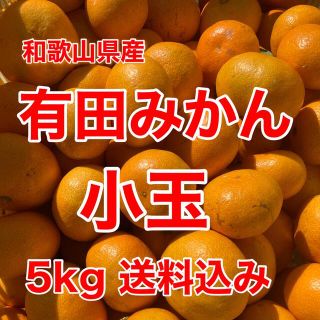 有田みかん🍊小玉🍊5㎏🍊家庭用🍊送料込み(フルーツ)