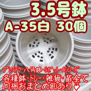 プラ鉢3.5号鉢【A-35】20個 スリット鉢 丸 プレステラ 多肉植物(プランター)