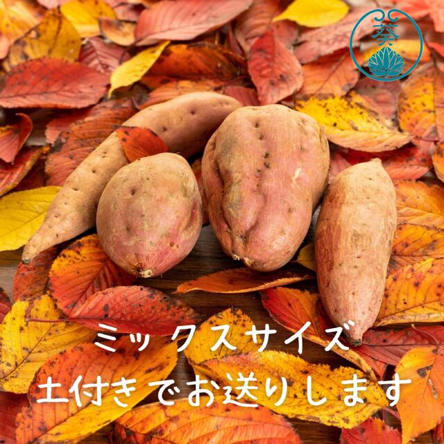 さつまいも『安納芋』10kg 食品/飲料/酒の食品(野菜)の商品写真