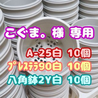 プラ鉢2.5号鉢【A-25】10個 他 スリット鉢 丸 プレステラ 多肉植物(プランター)