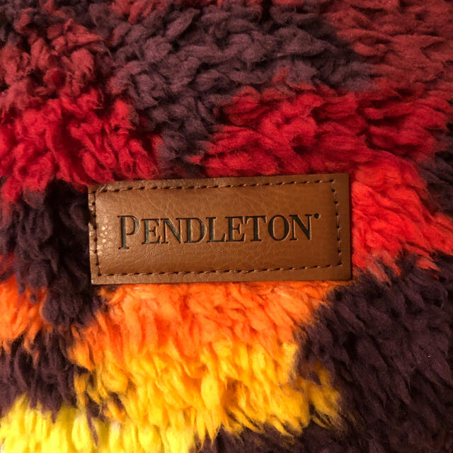 PENDLETON(ペンドルトン)のペンドルトン コストコ インテリア/住まい/日用品の寝具(毛布)の商品写真