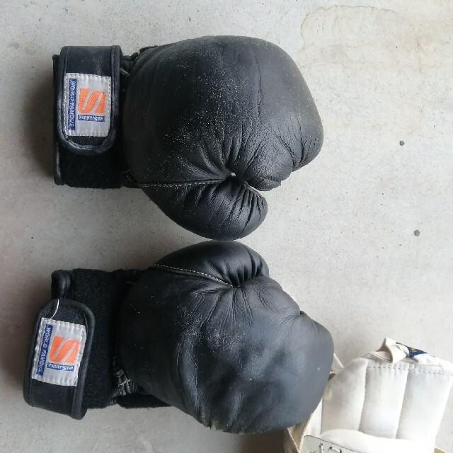 日本拳法防具 グローブ | www.jarussi.com.br