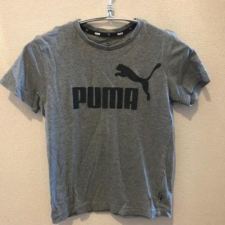 プーマ(PUMA)のプーマPUMATシャツ 140 グレー　公園着等に(その他)