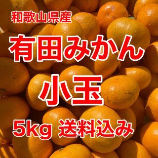 有田みかん🍊小玉🍊5㎏🍊家庭用🍊送料込み(フルーツ)