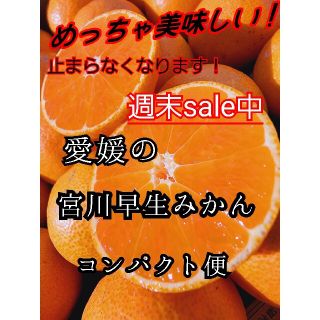 愛媛県　宮川早生みかん　コンパクト便　柑橘　ミカン(フルーツ)