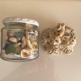 珊瑚？の塊(9cm×8cm×4cm)＋小さな貝殻とシーグラス(各種パーツ)