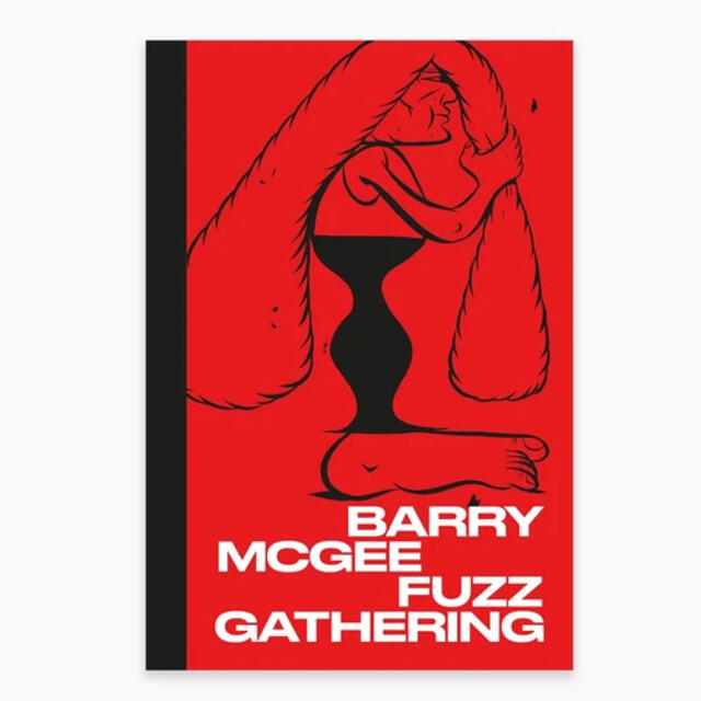 BARRY MCGEE FANZINE エンタメ/ホビーの本(アート/エンタメ)の商品写真