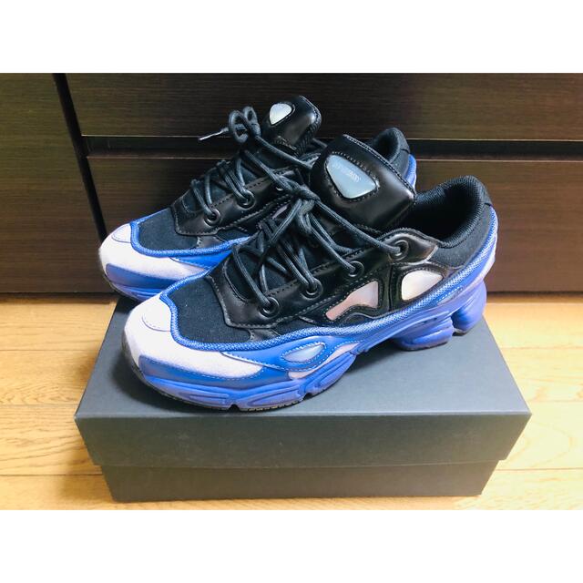 RAF SIMONS ozweego3