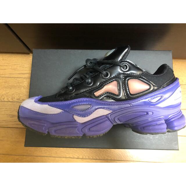 RAF SIMONS ozweego3