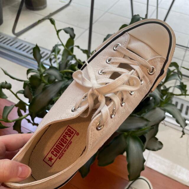 CONVERSE(コンバース)のコンバースALL STAR キャンバス オールスター Ｊ ＯＸ  レディースの靴/シューズ(スニーカー)の商品写真