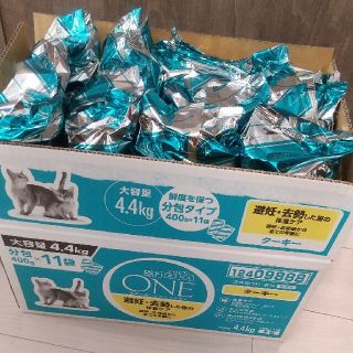 ネスレ(Nestle)のピュリナワン　避妊　去勢　ターキー　21袋　キャットフード(猫)