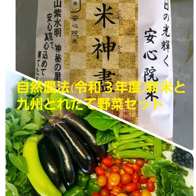 令和３年産新米と九州とれたて野菜セット 食品/飲料/酒の食品(米/穀物)の商品写真