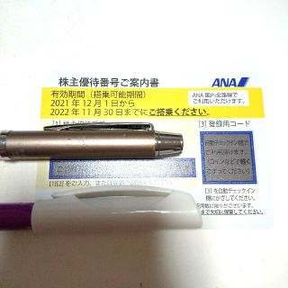 エーエヌエー(ゼンニッポンクウユ)(ANA(全日本空輸))のANA 株主優待割引券(その他)