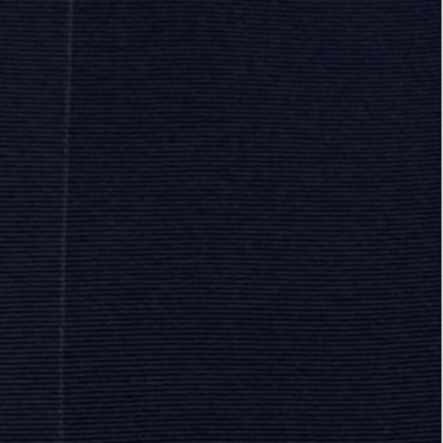 値下げmen's半襟正絹濃紺Ａ メンズの水着/浴衣(着物)の商品写真