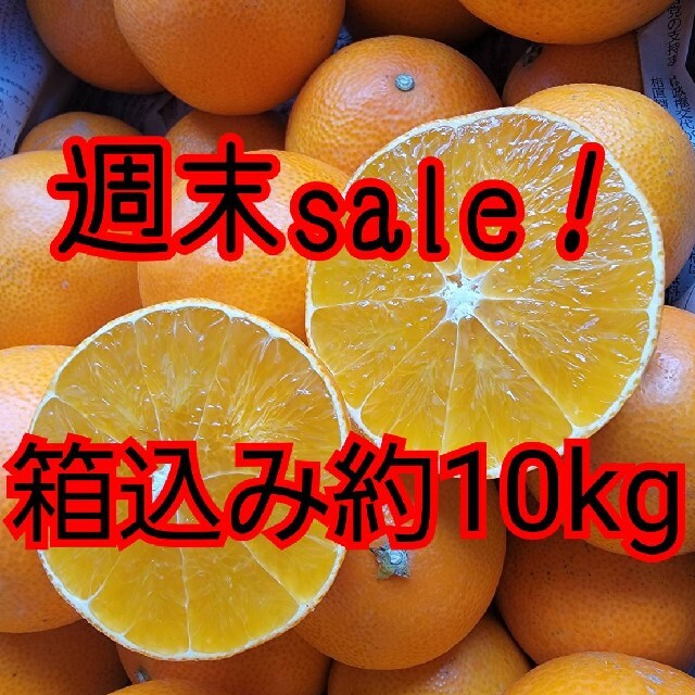 数量限定！愛媛県産　愛果28号　訳あり　箱込み約10㎏　柑橘　まどんな　マドンナ食品