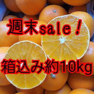 数量限定！愛媛県産　愛果28号　訳あり　箱込み約10㎏　柑橘　まどんな　マドンナ(フルーツ)