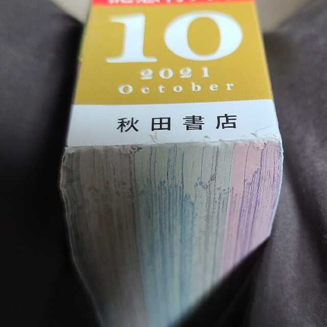 秋田書店(アキタショテン)の月刊 プリンセス 2021年 10月号 エンタメ/ホビーの雑誌(アート/エンタメ/ホビー)の商品写真