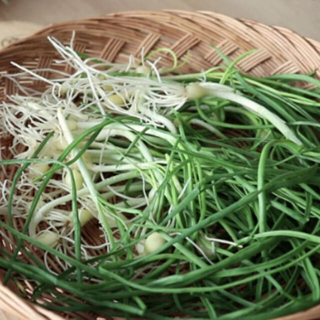 白菜キムチ&ノビルキムチ800 食品/飲料/酒の食品(野菜)の商品写真