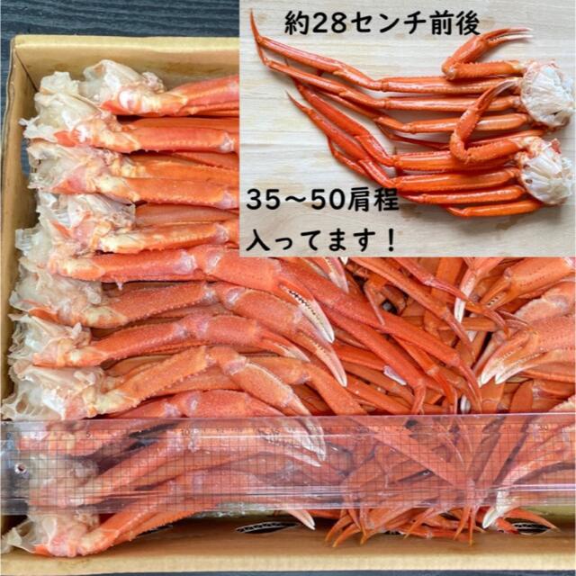 甲殻類【北海道産】訳あり紅ズワイガニ 肩 5kg 35〜50肩前後入れ 冷凍