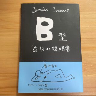 Ｂ型自分の説明書(その他)