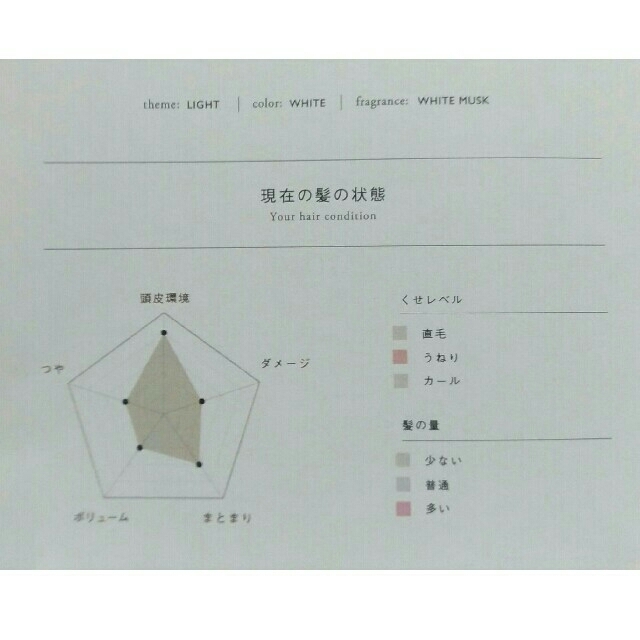 MEDULLA シャンプー＆コンディショナー(3セット) コスメ/美容のヘアケア/スタイリング(シャンプー/コンディショナーセット)の商品写真