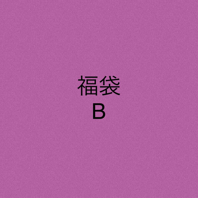 【セール】 福袋★B セット/コーデ