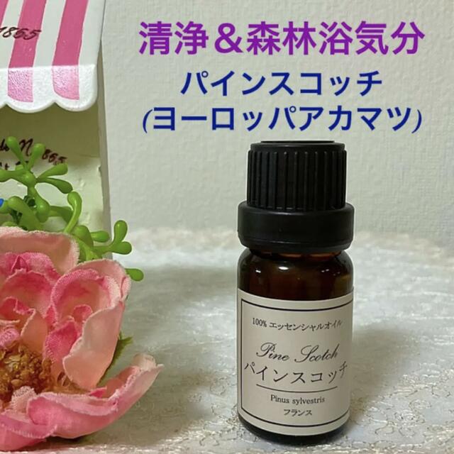 パインスコッチ ヨーロッパアカマツ 高品質 セラピーグレード精油 の通販 By アロマショップ桜子 ラクマ
