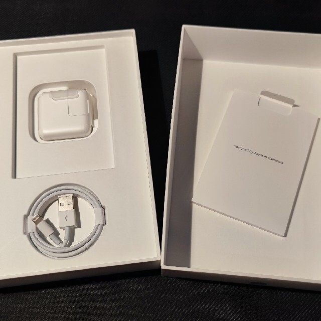 第5世代 iPad mini 256GB シルバー SIMフリー 第5世代 iPad mini 256GB シルバー SIMフリー