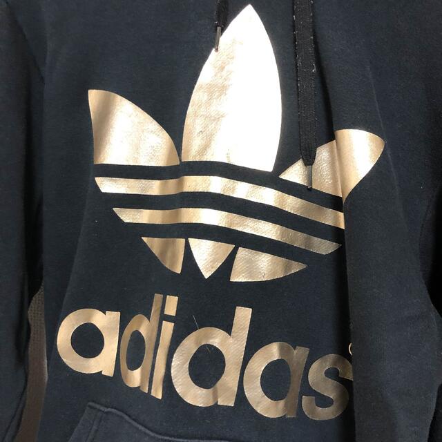 adidas 金ロゴ パーカー