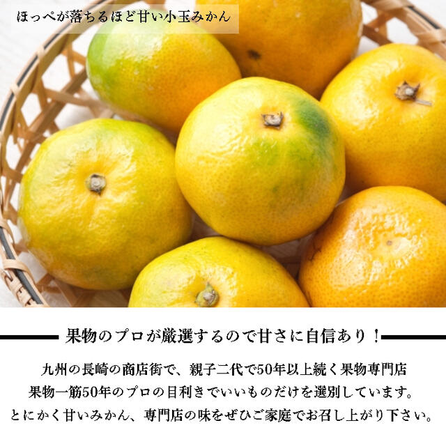 みかん 小玉 5kg 約75個入 果物 甘い ミカン 3s 2s 訳あり 蜜柑 食品/飲料/酒の食品(フルーツ)の商品写真