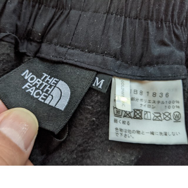 THE NORTH FACE(ザノースフェイス)のTHE NORTH FACE デナリパンツ メンズのパンツ(その他)の商品写真