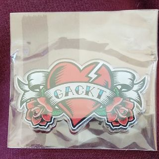 新品未使用GACKTライブワッペン(ミュージシャン)