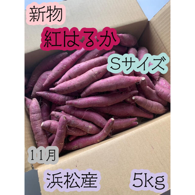 #13 紅はるかSサイズ  静岡県浜松産 小さめ  さつまいも 5kg 食品/飲料/酒の食品(野菜)の商品写真
