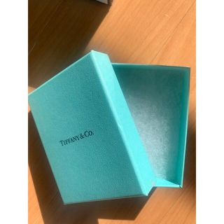 Tiffany&Co. ミニボックス(ショップ袋)