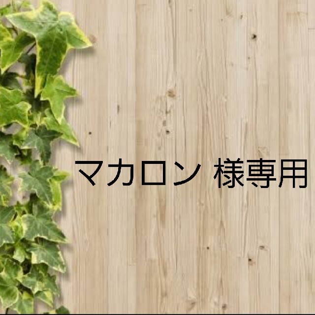カラー マカロン様専用ページです☆の通販 by koko's shop|ラクマ