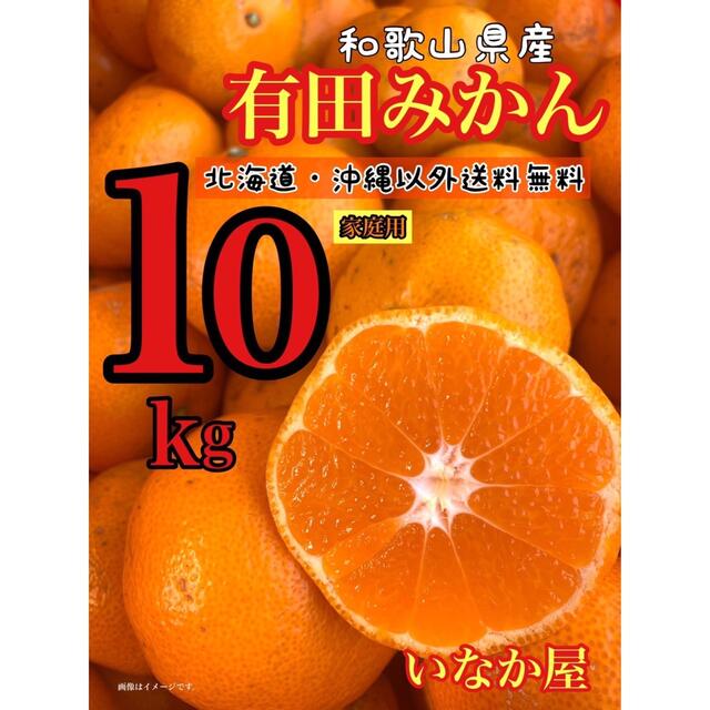 和歌山県産　有田　家庭用10kg みかん　セール　早い者勝ち　残り2点 食品/飲料/酒の食品(フルーツ)の商品写真