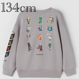 ザラキッズ(ZARA KIDS)の新品　マインクラフト　トレーナー　スウェットシャツ　9歳　134cm(Tシャツ/カットソー)