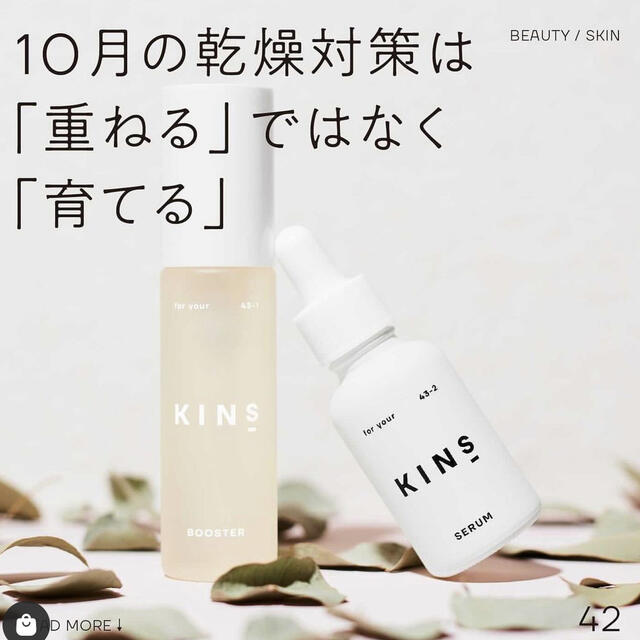 KINS ブースターとセーラム elc.or.jp