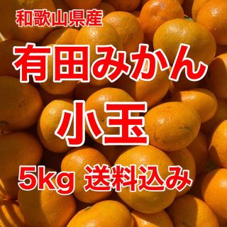 有田みかん　小玉　5㎏　家庭用　送料込み(フルーツ)