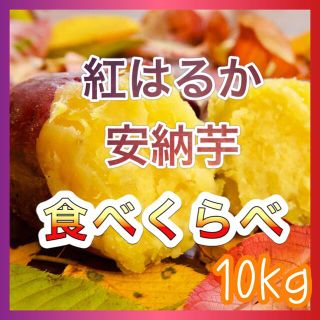 さつまいも食べくらべ10kg 『紅はるか×安納芋』(野菜)