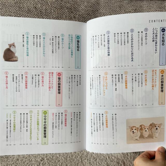 【新品未使用】ペットの飼養管理 エンタメ/ホビーの本(語学/参考書)の商品写真