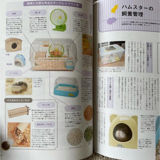 【新品未使用】ペットの飼養管理 エンタメ/ホビーの本(語学/参考書)の商品写真