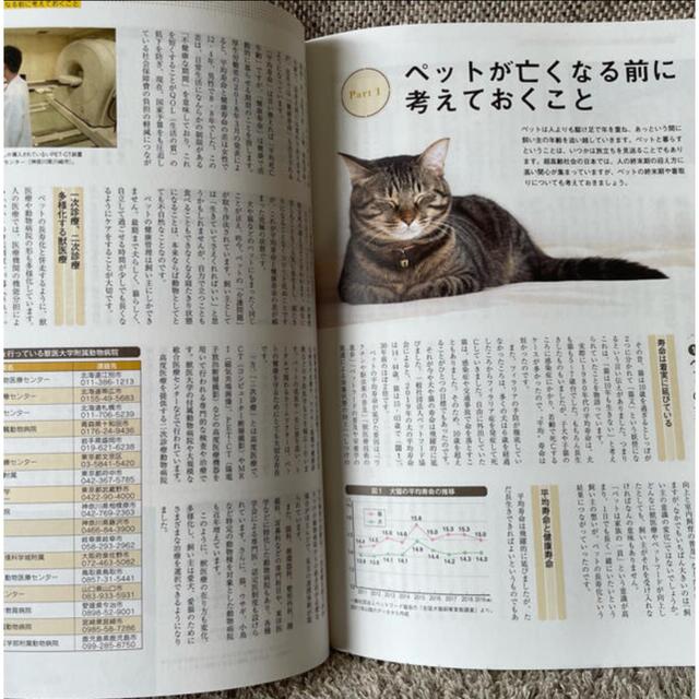 【新品未使用】ペットの飼養管理 エンタメ/ホビーの本(語学/参考書)の商品写真