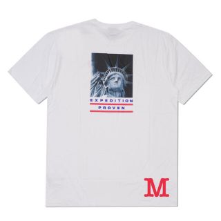 シュプリーム(Supreme)のSUPREME x THE NORTH FACE Tee(Tシャツ/カットソー(半袖/袖なし))