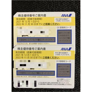 エーエヌエー(ゼンニッポンクウユ)(ANA(全日本空輸))のANA 優待券　二枚(その他)