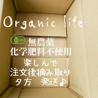 【オーガニック（有機&自然農法）農家直送】野菜セット ✨大地のエネルギー送ります(野菜)