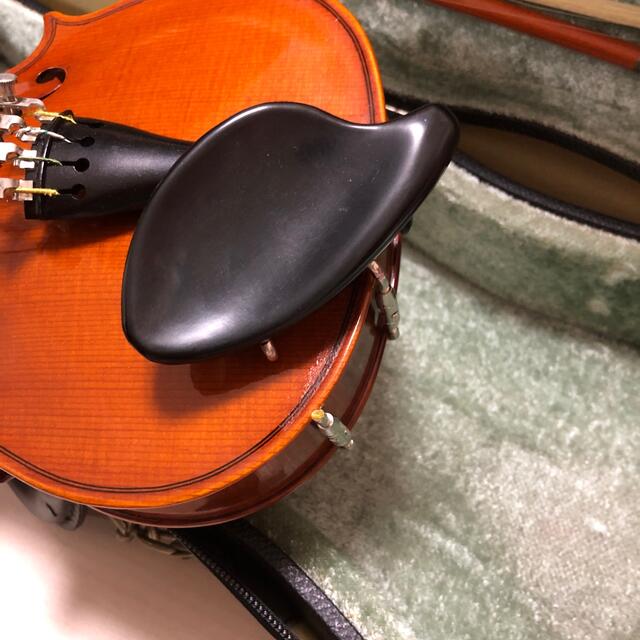 【売れ筋】 ピグマリウス　確認用 ヴァイオリン