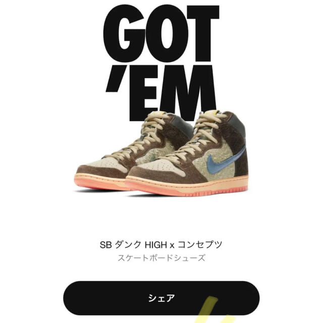 Nike SB DUNK HIGH x Conceptsメンズ