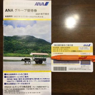 ANA 株主優待(その他)